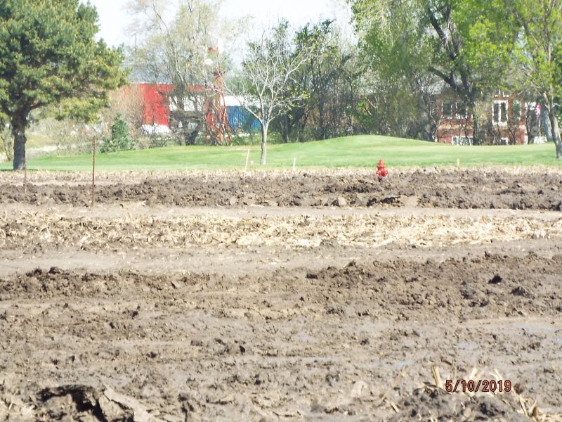 fire hydrants in middle of field